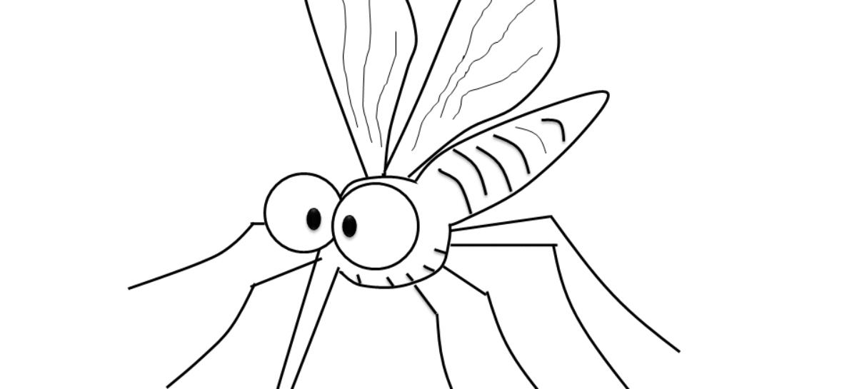 Dengue Fever Alert!
