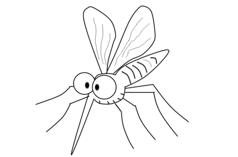 Dengue Fever Alert!