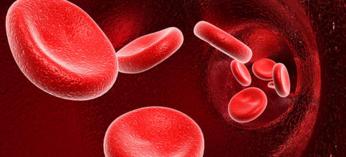 Blood thinners and their use today