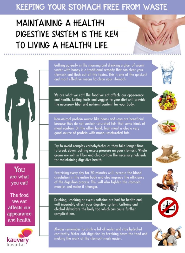 How To Maintain A Healthy Digestive System Infographic Kauvery Hospital how-to-maintain-a-healthy-digestive-system-infographic-kauvery-hospital