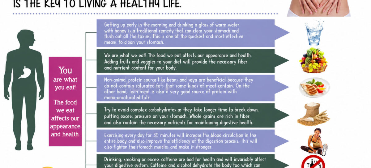 How to Maintain a Healthy Digestive System