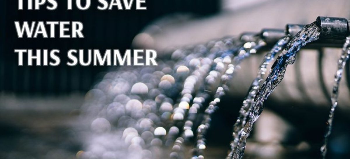 Tips to save water this summer