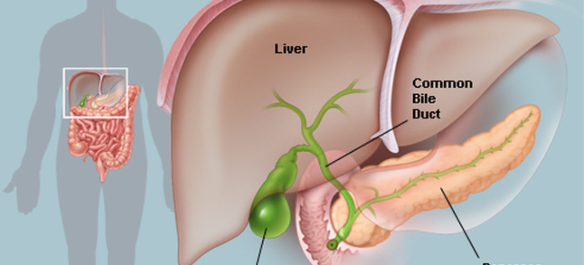 Gallbladder Problems – Symptoms and Types of Diseases
