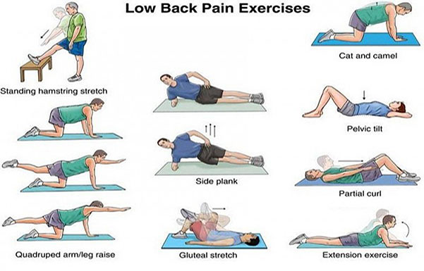 Best Lower Back Stretches: Alleviate Aches With These Moves