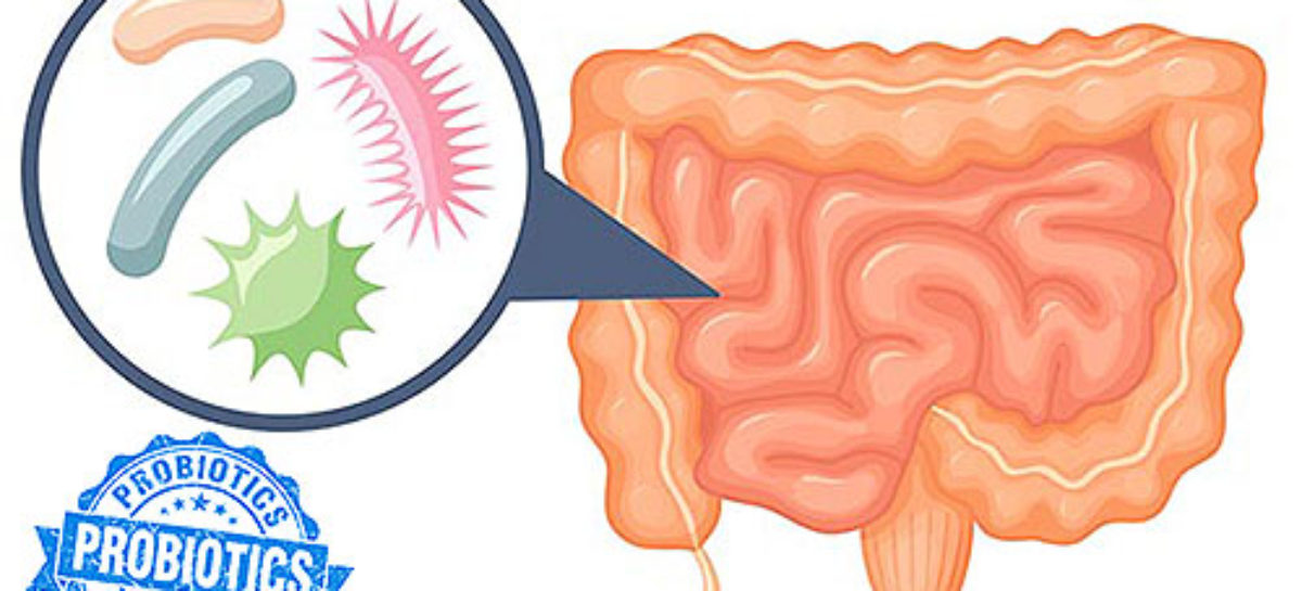 Understanding probiotics and their use