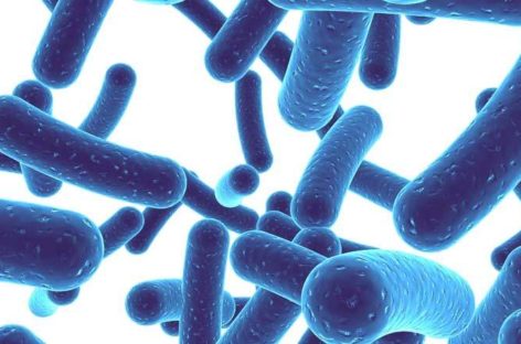 The role of Probiotics for a healthy life
