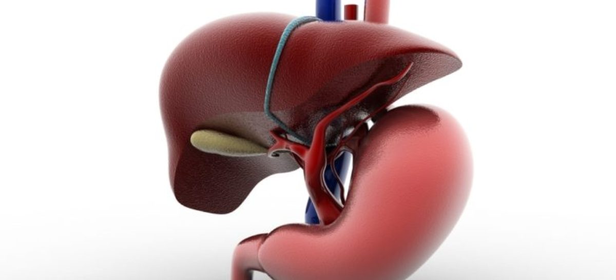 Role of Liver Biopsy in Managing Fatty Liver Disease
