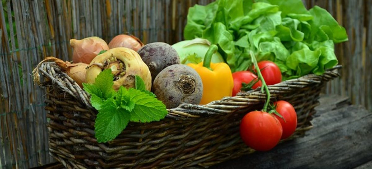 What you eat can help you fight cancer