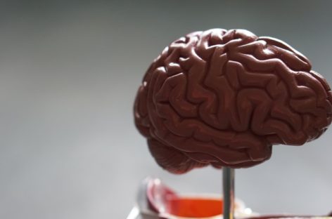 Concussions can be serious, seek immediate help
