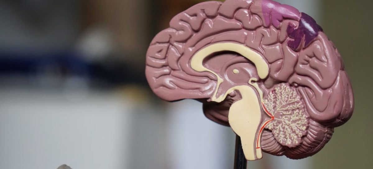 How to deal with Traumatic Brain Injury