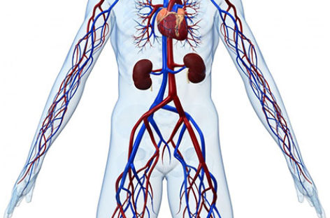 Vascular Emergencies
