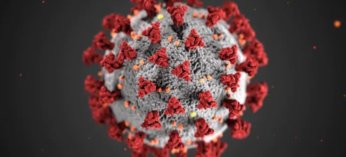 All about the new mutant strain of Covid-19 virus
