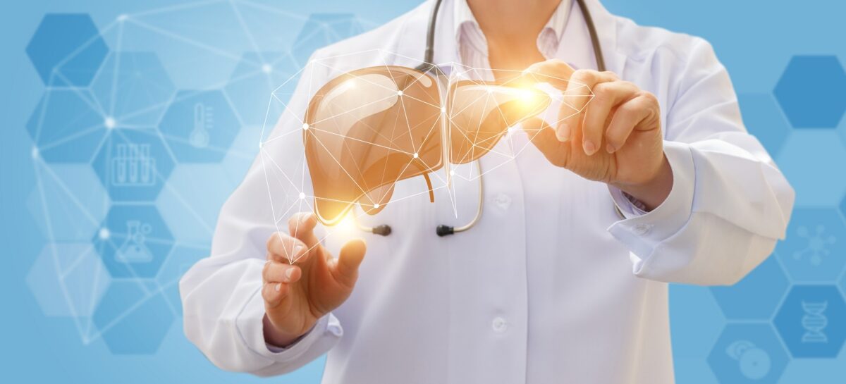 What Is The Role Of The Liver?