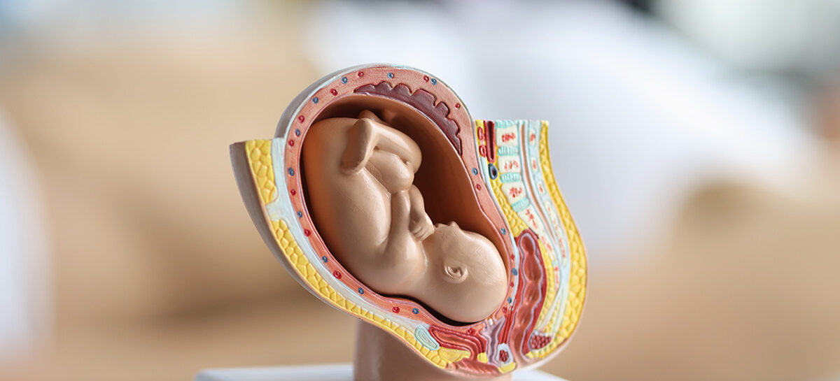 Monitor the movement of the foetus!