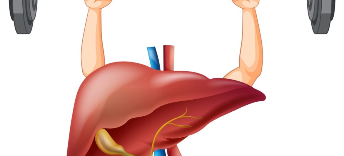 healthy liver The Link Between Liver Health and Diet – What to Eat for a Healthy Liver