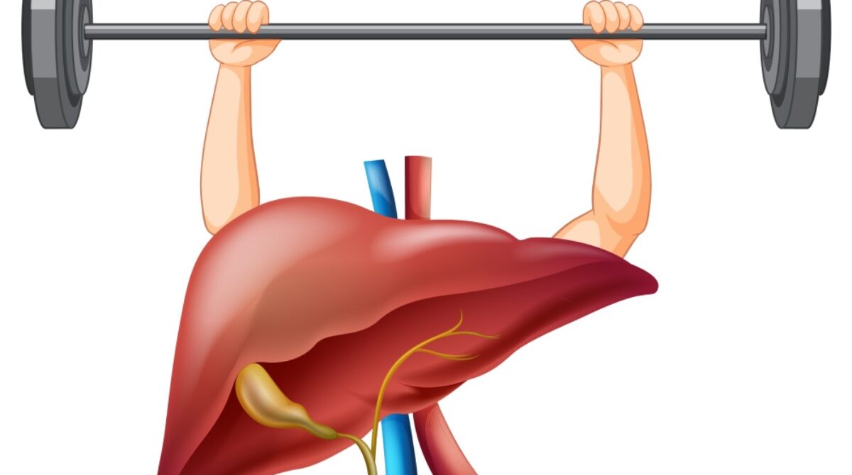The Link Between Liver Health and Diet – What to Eat for a Healthy Liver