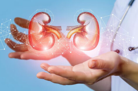 Implantable Bio Artificial Kidney, an innovation in Renal Treatment