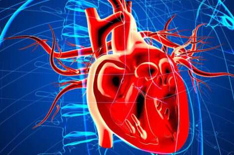 வாஸ்குலர் சர்ஜரி  என்கிற  ரத்த நாள அறுவை  சிகிச்சை