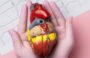 Mitra-clip procedure for Mitral Valve Regurgitation