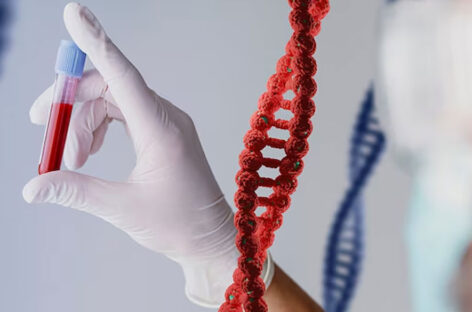 Identifying genetic defects in the unborn child – Prenatal genetic screening