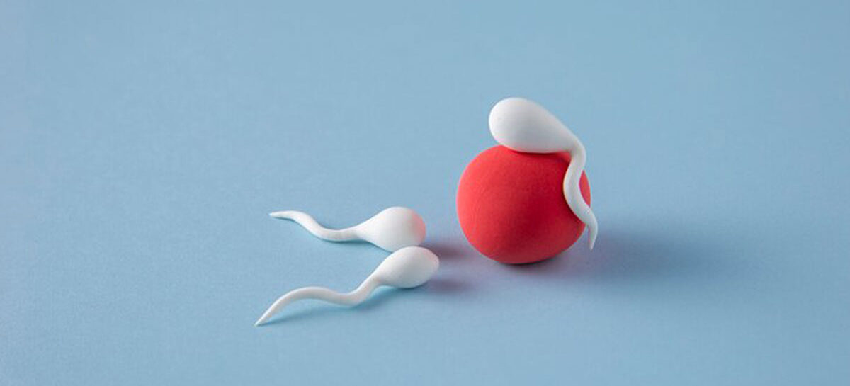 Male Fertility – Myths and Facts