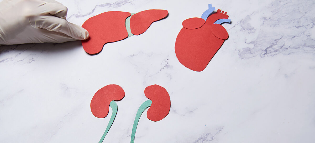 Living vs. Deceased Donor Transplants – Pros and Cons