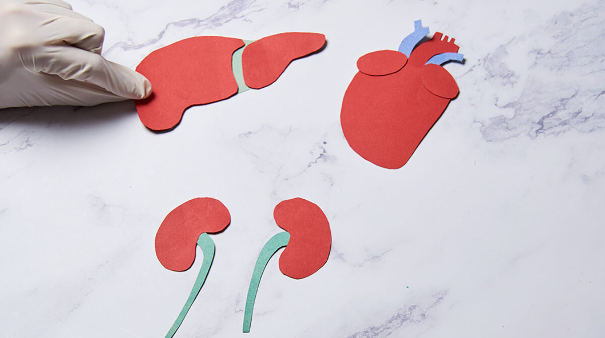 Living vs. Deceased Donor Transplants – Pros and Cons