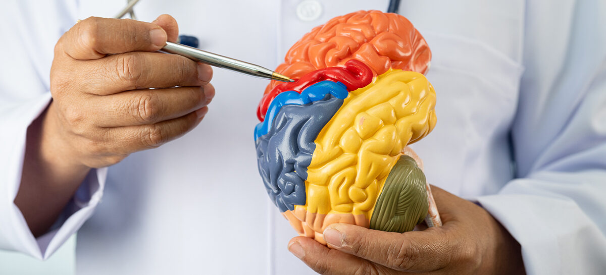 பக்கவாதத்தை வெல்லும் தருணம்!