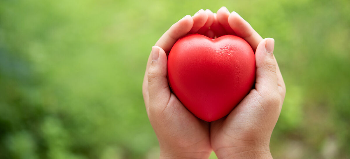 ஓர் உயிரின் பரிசு!