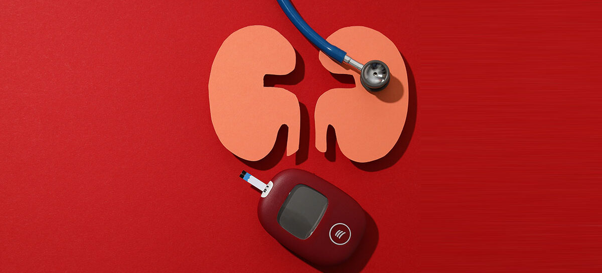 The Silent Damage: How Diabetes and Hypertension Affect Your Kidneys