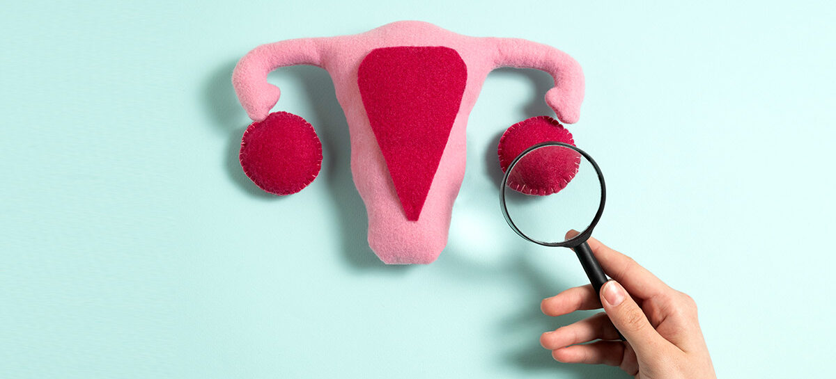 Ovarian Function with an Analogy