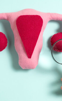 Ovarian Function with an Analogy