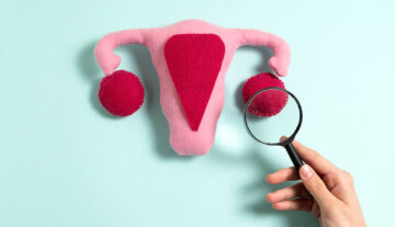 Ovarian Function with an Analogy