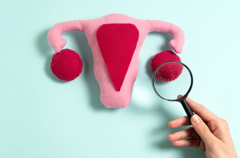 Ovarian Function with an Analogy