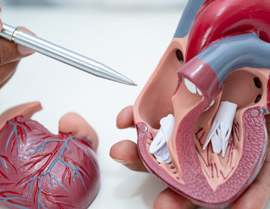 Why Choose Mitral Valve Repair Over Replacement?