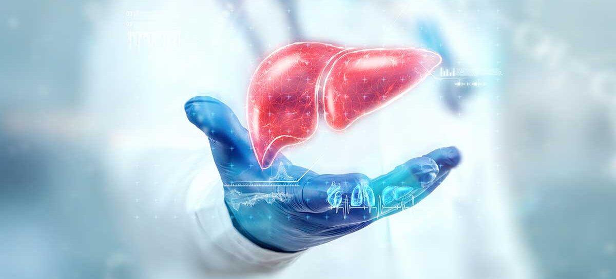 கல்லீரல் சொல்லும் கதை!