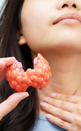 The Link between Thyroid and Obesity