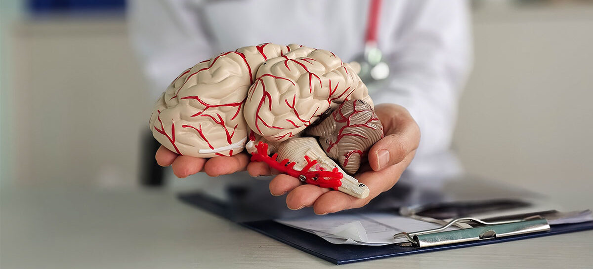 Types of Neurointerventional Procedures