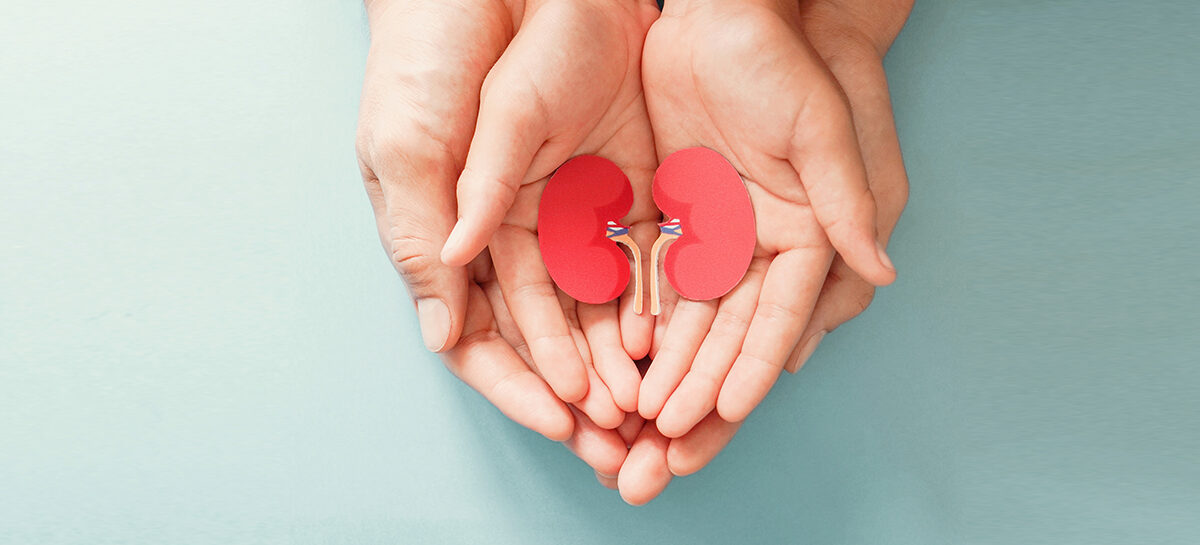 A Parent’s Guide to Paediatric Kidney Transplants