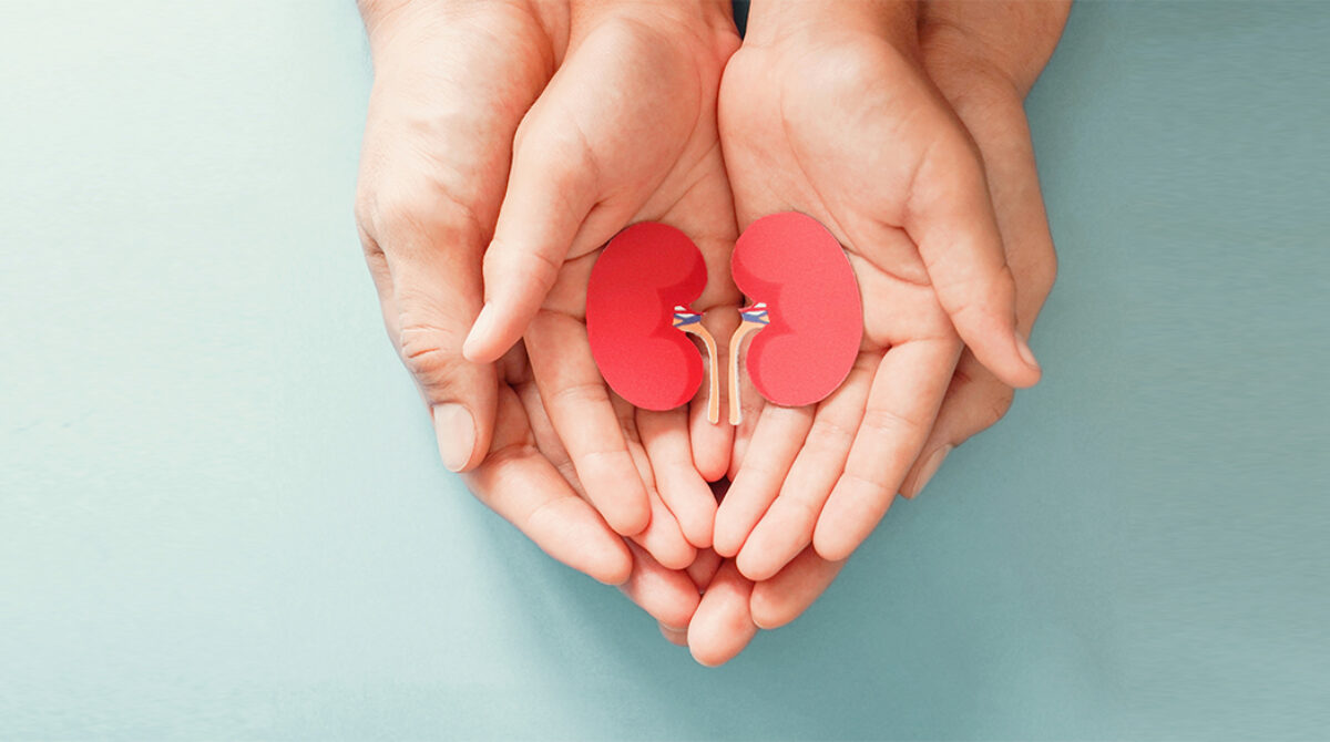 A Parent’s Guide to Paediatric Kidney Transplants