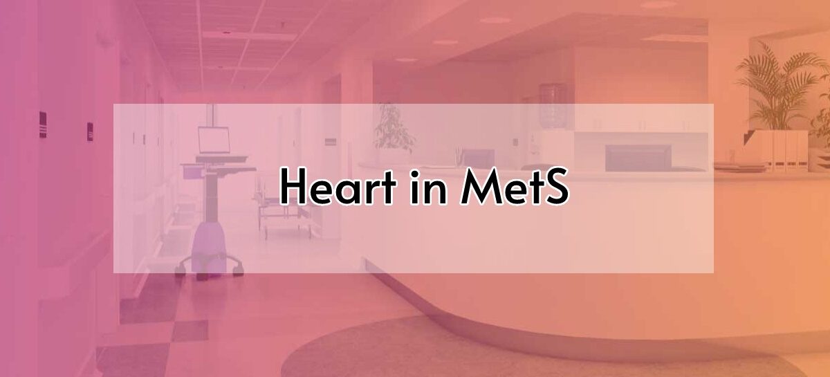 Heart in MetS