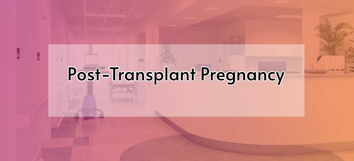 Post-Transplant Pregnancy