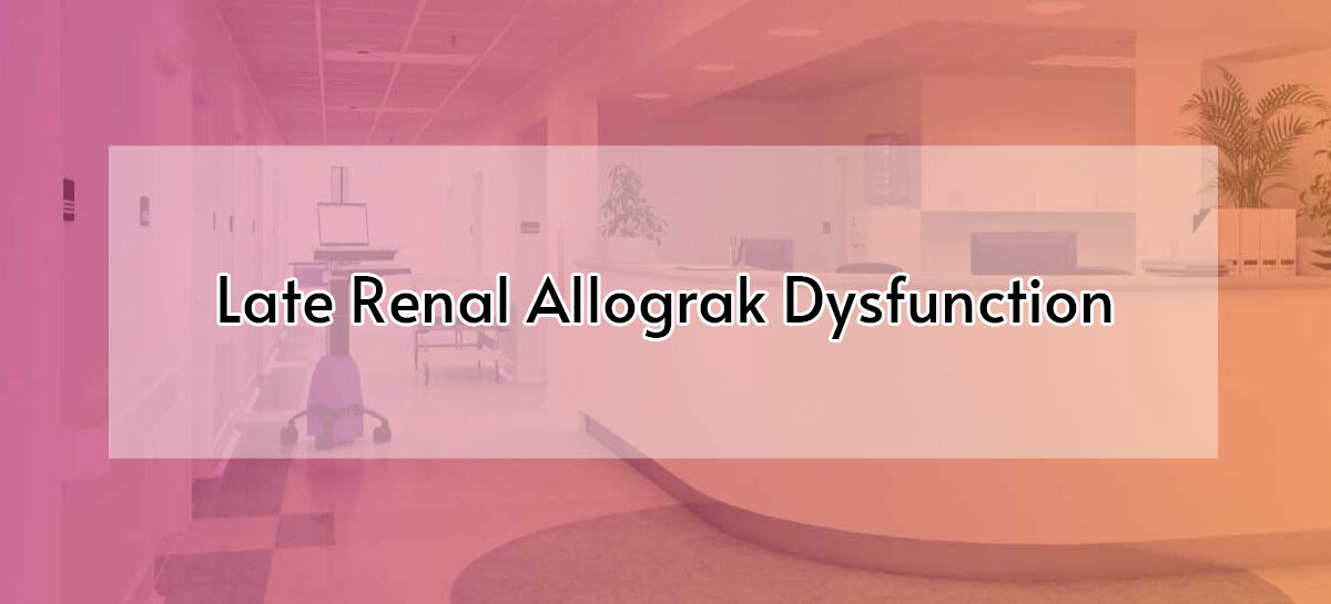 Late Renal Allograft Dysfunction