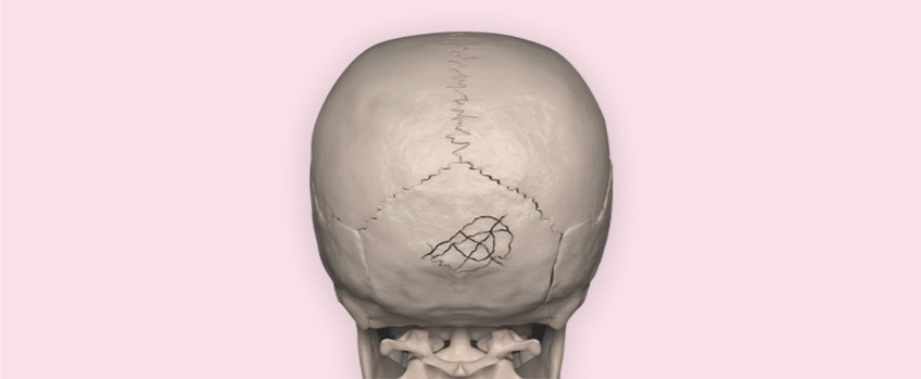 Brain and Spine Treatment