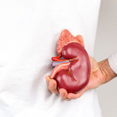 Kidney Transplantation