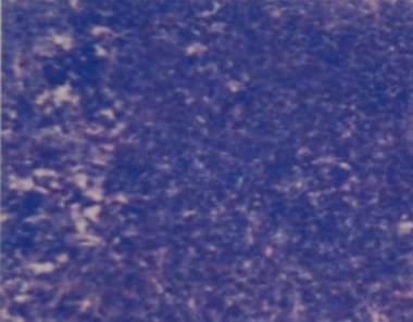 2C