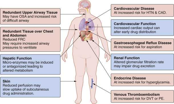 anaesthesia-and-morbid-obesity-2