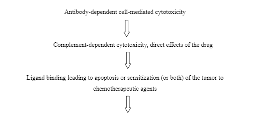 Mechanisms-through-which-Rituximab