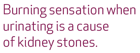 What is kidney stone? | Kauvery Hospital