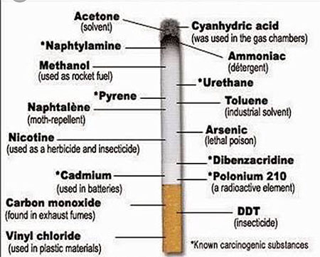 What's in a Cigarette? Stub Your Habit